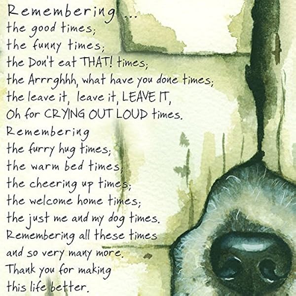 remembering a lost pet