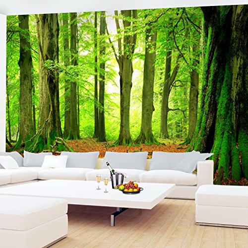 Fototapete Wald 352 x 250 cm – Vliestapete – Wandtapete – Vlies Phototapete – Wand – Wandbilder XXL – !!! 100% MADE IN GERMANY !!! Runa Tapete 9037011a - 4