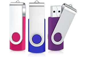 Chiavetta USB 2GB 3 Pezzi Cardfuss Cle USB 2.0 Rotazione 360 ° Pen Drive，USB Flash Drive,Portatile Thumb Drive Memoria Stick (3 colori: Rosa rossa/Blu/Viola)