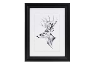 WOLTU 1 pièce Cadre de Photo en Bois Artos Style Façade en Verre,20x30cm,Noir 9433