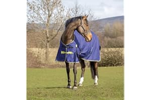 Asker 200g Horse Standard Neck Medium Weight Mediumweight Turnout Rug - Navy Blue