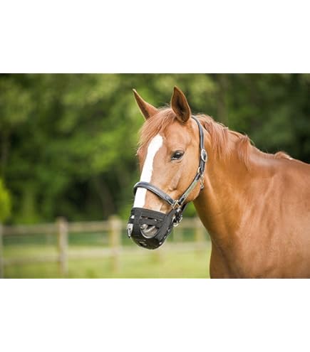 Flexible Filly Slow Feed Grazing Muzzle | ThinLine Grazing Muzzle