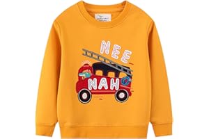Moneric Boys Sweatshirt Toddler Dinosaur Long Sleeve Jumper Shirt Tops Casual Little Cotton Pullover T-Shirt Kids Clothes