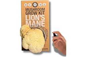SMART MUSHROOMS Lion’s Mane Mushroom Growing Kit XL - Harvest in 20 Days - Growth Guaranteed - Ideal Mushroom Gifts Foodie/Gardening Fun, Easy & Delicious | Grow Your Own Lions Mane
