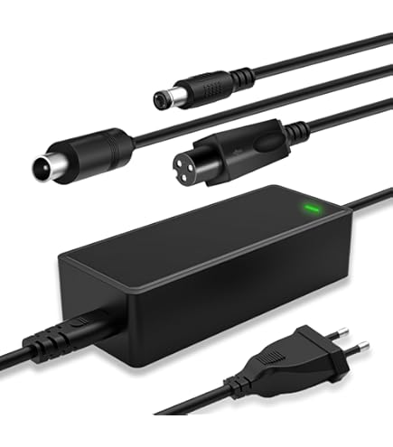 Labtec 54,6 V 48 V 2 A lader oplaadkabel voor 48 V 2 A 13S Li-on accu's e-bike elektrische fiets Pedelec hoverboard zelfbalancerende scooter voeding, 5,5 x 2,1 mm