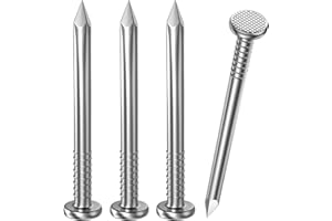 Dayalo Lot de 100 clous en acier de 20 mm - En acier inoxydable A2 V2A - Pour murs en bois et béton