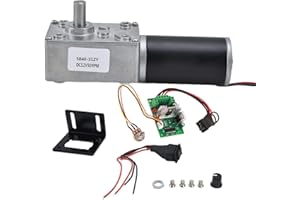 Miskall 12V, 50RPM Motoriduttore a Vite Senza Fine, 38 kg, 31 mm, con Governatore alta Torsione, Motore Autobloccante Invertito Mini Turbina, per Robot fai da te Tavolo Girevole e Serratura