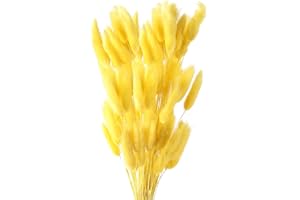 Diyxisk Hierba de la Pampa,50 Pcs Flores Secas Naturales Decoración,Flores Preservadas Adecuado para Jarrón Mesa de Boda Habitación Decoración del Hogar Accesorios Sala de Estar(Amarillo)