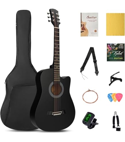 Gitane DG-310 Professional Gypsy Jazz Guitar - Modèle Lulo