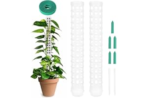 OFFCUP Palo di Muschio - 2Pcs Sostegno per Piante Rampicanti con 1 Pianta e 5 Etichette, Bastoncini Impilabili in Plastica (Bianco)