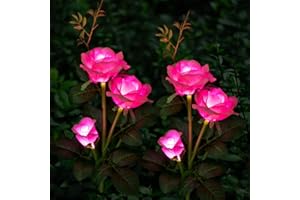 Anordsem Solar Lights Outdoor Garden, 2 Pack Rose Flowers Solar Lights, Garden Lights Solar Powered Waterproof with 6 Rose, Solar Garden Lights for Lawn Patio Pathway Party Wedding (Pink)