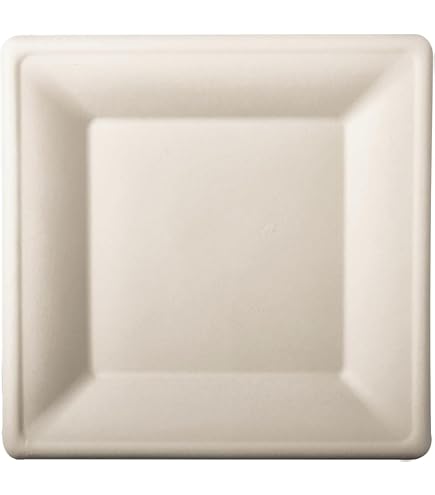 wisefood Suikerrietborden, 50 stuks bagasse wegwerpborden