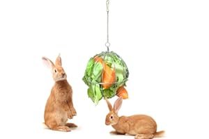 Fewao Stainless Rabbits Feeding Grass Ball Sphere Treat Hay Feeder Dispenser Hanging Ball Rabbit Chinchilla Guinea Pig Chicken Toys for Small Animals