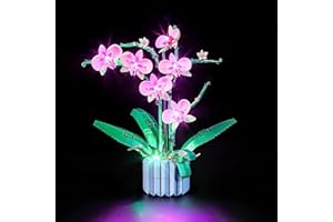 YEABRICKS LED Lumière pour Lego-10311 Creator Orchid Modèle de blocs de construction (ensemble Lego non inclus)