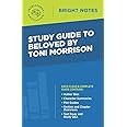 Study Guide to Beloved by Toni Morrison (Bright Notes)