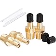 RouLiPouLi 1/4" NPT Tank Valve Anti-Corrosion Brass Schrader Valve with 1/4" Male NPT Thread,Using with Air Compressor Tanks with Sealing Caps
