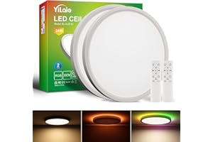YiLaie 2 Pezzi Plafoniera LED Soffitto Moderna,24W RGB Lampadario per Camera da Letto Ø30cm,3000K-6500K Lampada LED Soffitto Dimmerabile Con Telecomando, IP44 Impermeabile,Per Soggiorno Camera letto