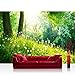 Produktbild Vlies Fototapete 300x210 cm PREMIUM PLUS Wand Foto Tapete Wand Bild Vliestapete - SUNNY FOREST - Wald Bäume Natur Baum grün Sonnenschein Sonne - no. 030