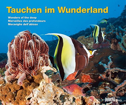 Tauchen im Wunderland 2013 / Wonders of the deep / Merveilles des profondeurs / Meraviglie dell'abisso