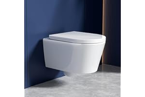 Rainsworth Spülrandlos Wand-WC Tiefspül Toilette - Hänge Toiletten mit effizienter Spültechnik, Kloschüssel inklusive WC-Sitz mit Absenkautomatik und Schnellspanner, Weiß, 48,5 cm lang
