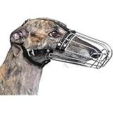 lurcher muzzle amazon
