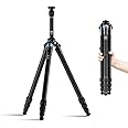 SIRUI AM-254 Carbon Fiber Tripod with Two Sections Center Column, 59.8" Lightweight Compact Travel Tripod for Camera, Fold Size 17.3”, Max Load 25.4lbs (AM254+SL200)