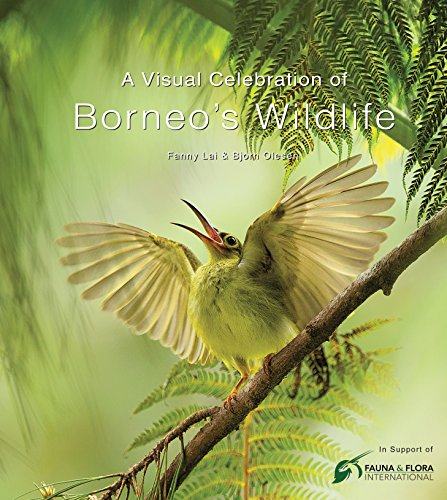 Télécharger A Visual Celebration of Borneo's Wildlife livre En ligne