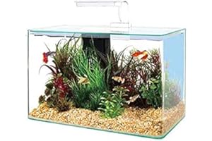 Zolux Aqua Clear 40 Aquarium Complet 20 l Blanc