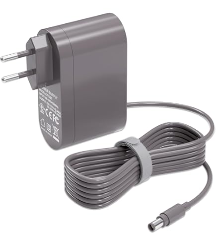 22.2V 4000mAh Lithium Akku/Ladegerät für Dyson TypB DC31 DC34 DC35 DC44