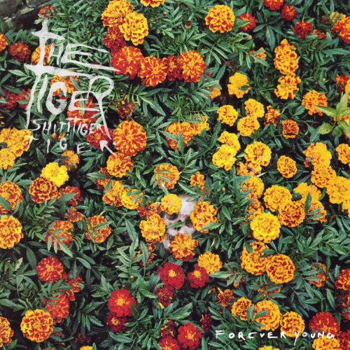 Preisvergleich Produktbild Forever Young