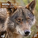 Image de Wölfe 30x30 2018