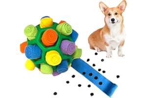 CIIVURR Schnüffelball für Hunde, Hundespielzeug Schnüffelteppich Schnüffelspielzeug für Hunde Training Tragbarer Haustier Puzzle Snuffle Ball Toys für Kleine Mitte Groß Hunde (Grün Regenbogen)