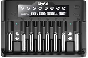 Dlyfull Caricabatterie Pile Ricaricabili 10 Slot Caricabatterie Veloce per Batterie Li-Ion, NI-MH, NI-Cd, LiFePo4, 18650, 21700, AA, AAA, C, SC, 9V con Display LCD