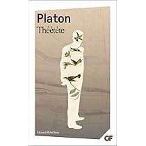 LE SOPHISTE : Platon: Amazon.fr: Livres