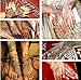 Mehndi Stencil Tattoo Stencil Henna Designs Right Hand - single use S109R - suitable for Henna Tattoo Glitter Tattoo and Airbrush Tattoo