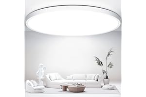 Swoieltr Bathroom LED Ceiling Light, 6500K Cold White Ø30CM 24W 2000LM Round Modern Flush Ceiling Lights IP44 Waterproof Close-to-Ceiling Light for Office, Kitchen, Bedroom, Living Room