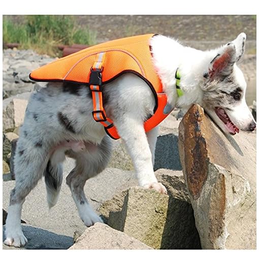 Homeyoo Pettorina Rinfrescante E Leggera Per Cani