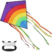 Aomig Kinder Drachen Schmetterling - Einleiner Flugdrachen 100x73cm Für Anfänger Ab 3 Jahren