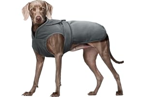 Kuoser Leinwand Haustier Hund Wintermantel, Reflektierende Warme Fleecejacke für Kleine Mittelgroße Welpen, Wasserdichte und Winddichte Hundeweste mit Gurtloch, XS-3XL