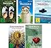 Produktbild Die Kluftinger Krimis - 5 DVDs (Erntedank, Milchgeld, Seegrund, Schutzpatron, Herzblut) im Set - Deutsche Originalware [5 DVDs]