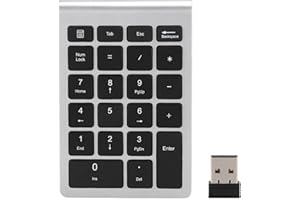 Agatige Number Pads, Wireless 22 Keys Numeric Keypad USB 2.4G Portable Number Pad with Receiver, Mini Ergonomic Keyboard for Laptop Desktop Computer PC Shortcut Data Entry (Black)