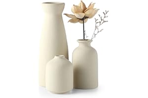‎CEMABT CEMABT Keramik Vasen 3er-Set Kleine Blumenvasen für Dekor, Moderne rustikale Bauernhaus Home Decor, Dekorative für Pampas Grass&getrocknete Blumen, Idee Regal,Tisch, Bücherregal,Mantel (Natur)