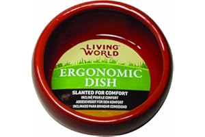 Living World Ergonomic Dish, Terracotta, Small