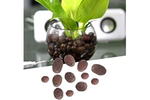 FOLOSAFENAR Clay Pebble, Hydroponic Rock Clay Carbon Material Easy To Use Water Planting Reliable and Safe for Hydroponic Plant and Soilless Culture