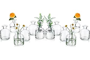Nowoczesne przezroczyste małe kwiaty szklany wazon aptekarza: Glasseam 12 szt. mini wazonów na pąki zestaw dekoracyjne wąskie butelki z pojedynczą szyjką na różę trawę pampasową ślub stół jadalny
