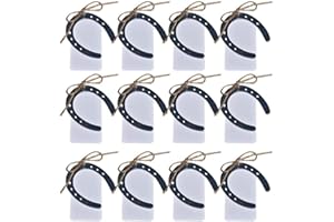 BODOSAC Awtlife 24 herraduras de la suerte de hierro fundido, vintage, recuerdos de boda, decoraciones de fiesta