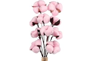 Larber 10 pezzi Steli di Cotone Fiori di Cotone Secchi Naturali Cotone Essiccato per Album Matrimonio Balcone Famiglia Tavolo da pranzo Arrangement Fiore (Rosa)