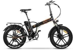 YOUIN Bicicleta eléctrica adultos Unisex E-Bike FAT Youin Texas - 20" x 4" 10AH 250W