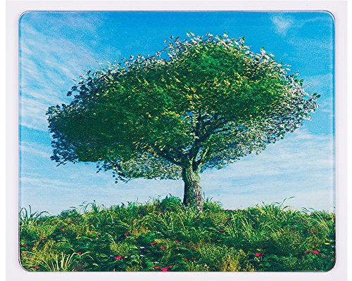WENKO 2712416500 Glas Schneidebrett, 4-er set, mit 4 Jahreszeiten Motiv, Platzset, Schneidbretter, 20cm x 30cm, Rutschstopp - 3