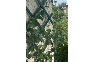 MD MUZ 2 x Green Expanding Plastic Garden Trellis 150 X 40cm 1.5m New PVC Trellis